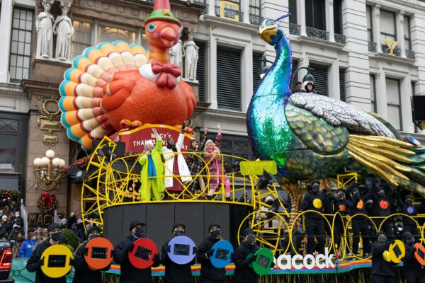 Peacock_Float_Frame_01