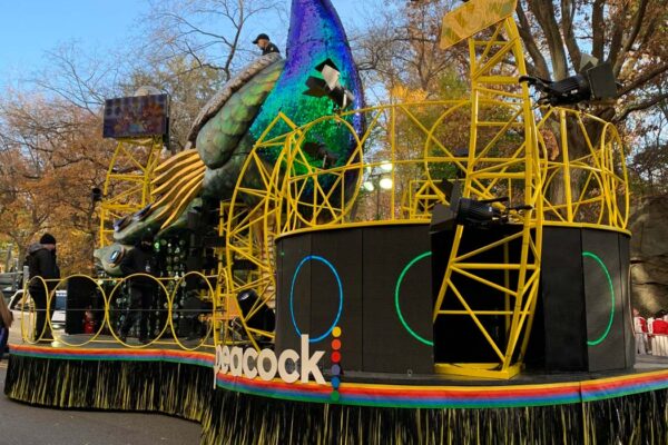 Peacock_Float_Frame_02