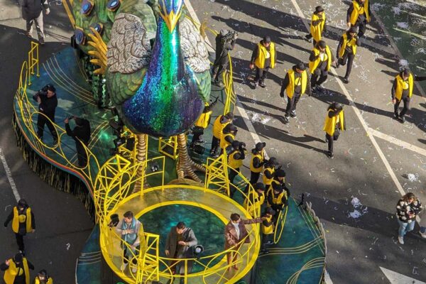 Peacock_Float_Frame_03