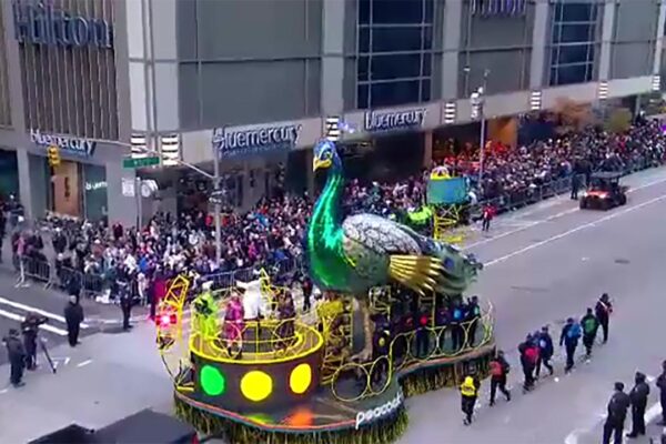 Peacock_Float_Frame_04