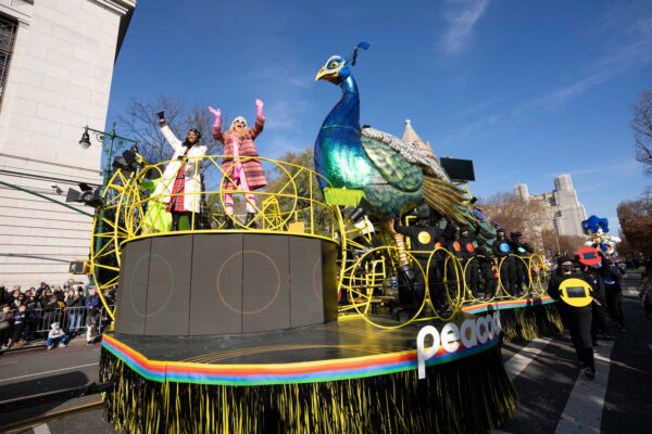 Peacock_Float_Frame_05