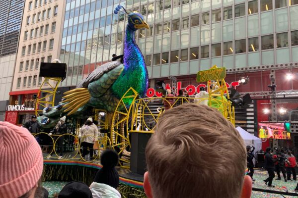 Peacock_Float_Frame_07