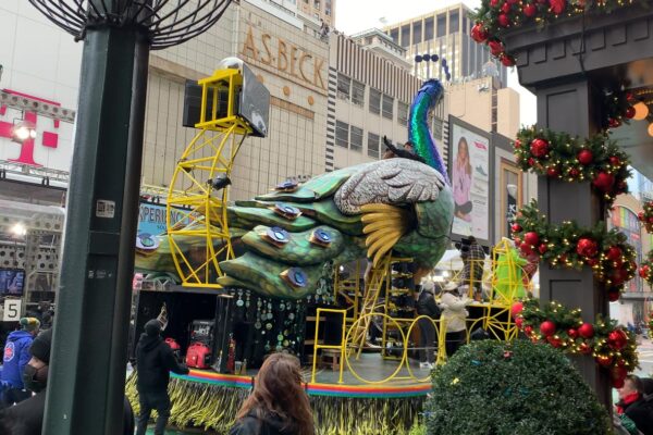 Peacock_Float_Frame_08